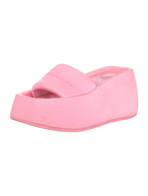 Alexander Wang Slides