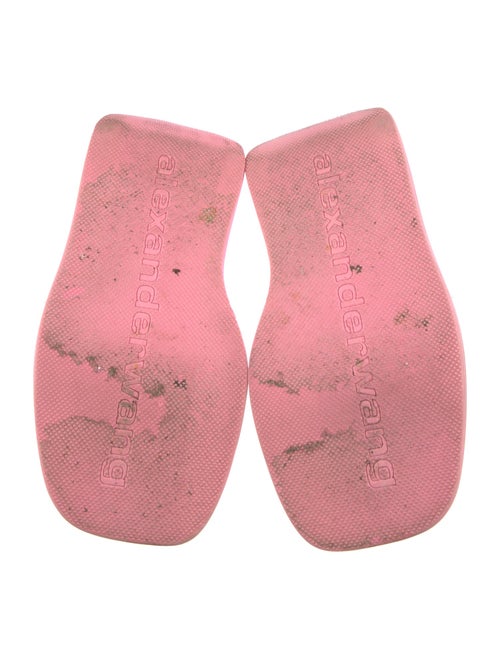 Alexander Wang Slides