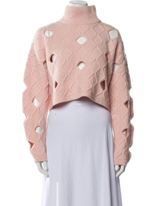 Alexander Wang Printed Turtleneck Sweater