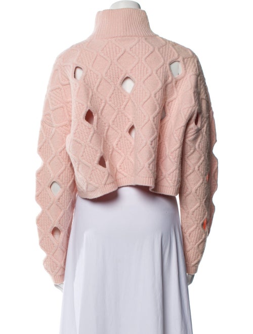 Alexander Wang Printed Turtleneck Sweater