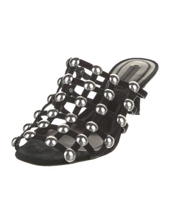 Alexander Wang Suede Studded Accents Slides