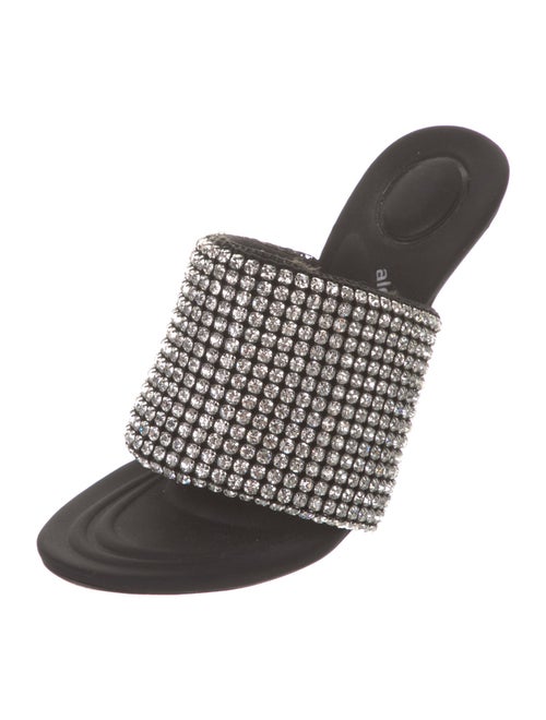 Alexander Wang Crystal Slides