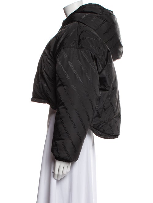 Alexander Wang Down Coat