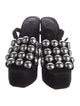 Alexander Wang Suede Studded Accents Sandals