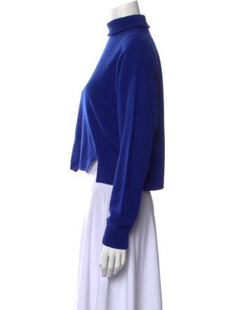 Alexander Wang Wool Turtleneck Sweater