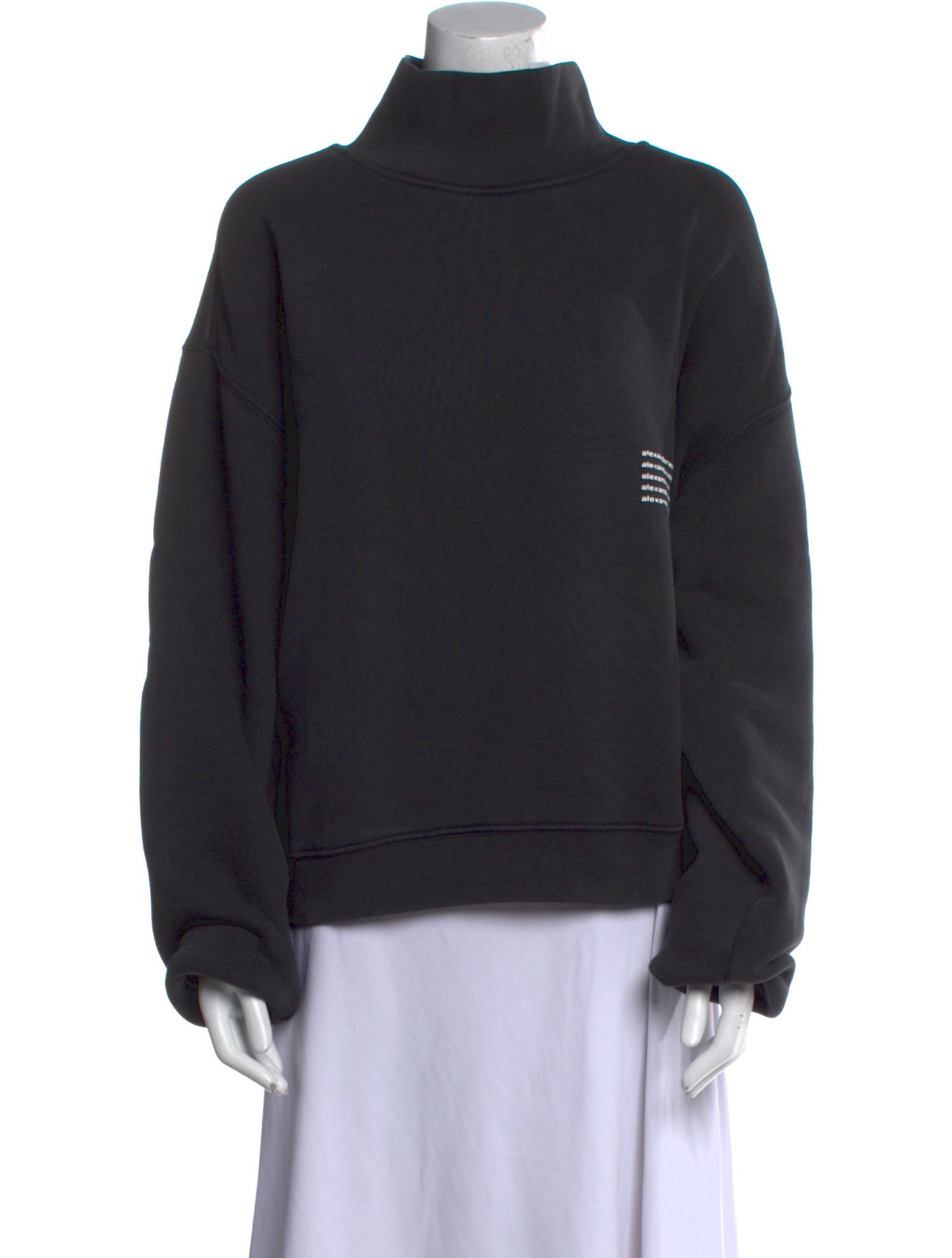 Alexander Wang Turtleneck Long Sleeve Sweatshirt