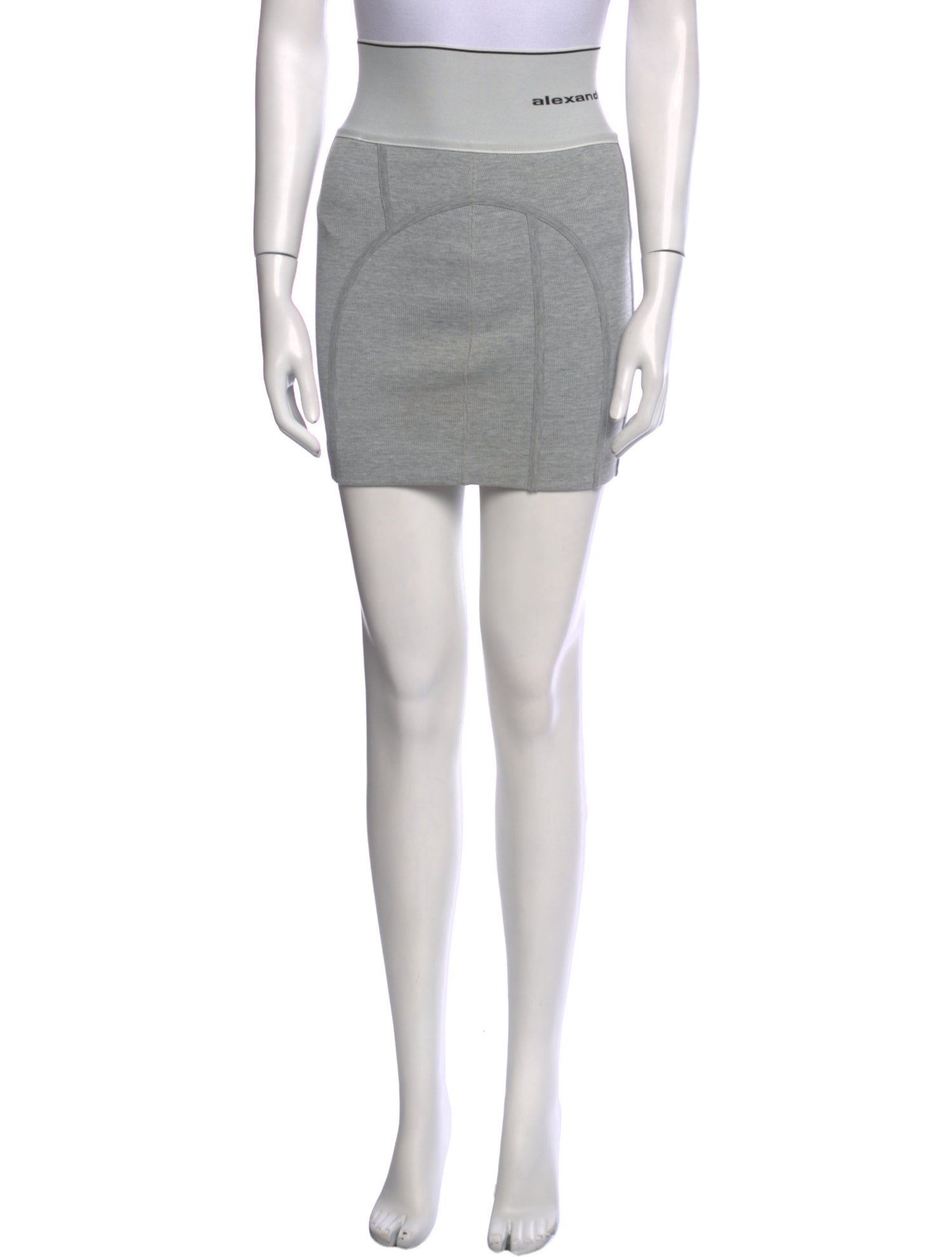 Alexander Wang Raw-Edge Trim Mini Skirt