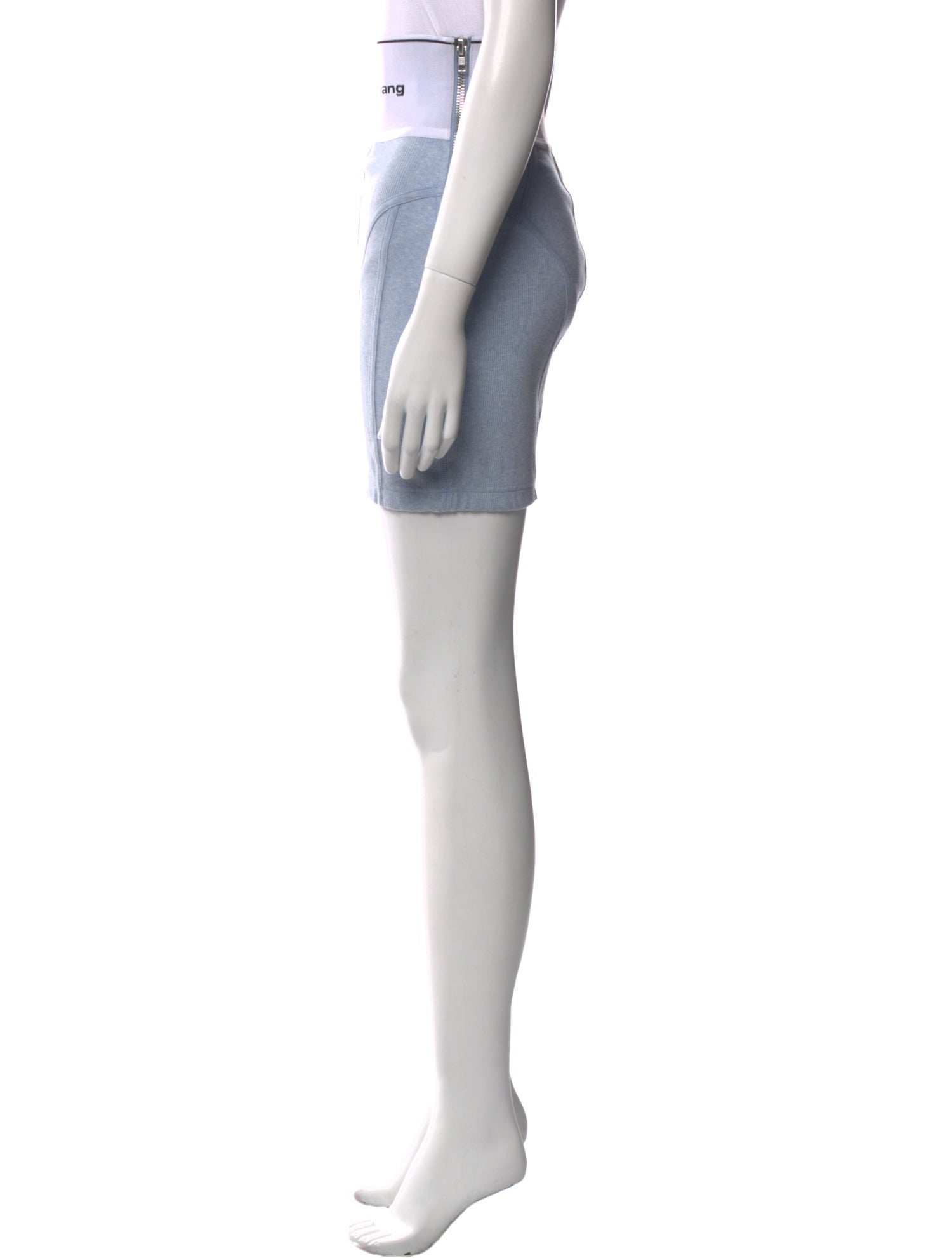 Alexander Wang Mini Skirt