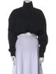 Alexander Wang Turtleneck Long Sleeve Sweatshirt