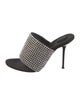 Alexander Wang Crystal Embellishments Slides