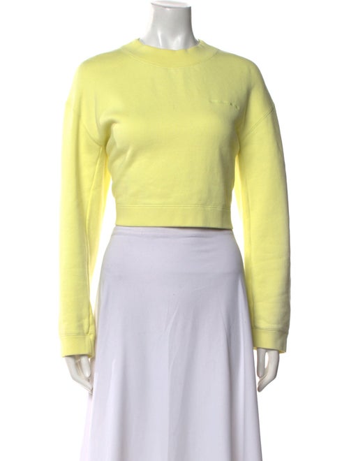 T by Alexander Wang Crew Neck Long Sleeve Crop Top