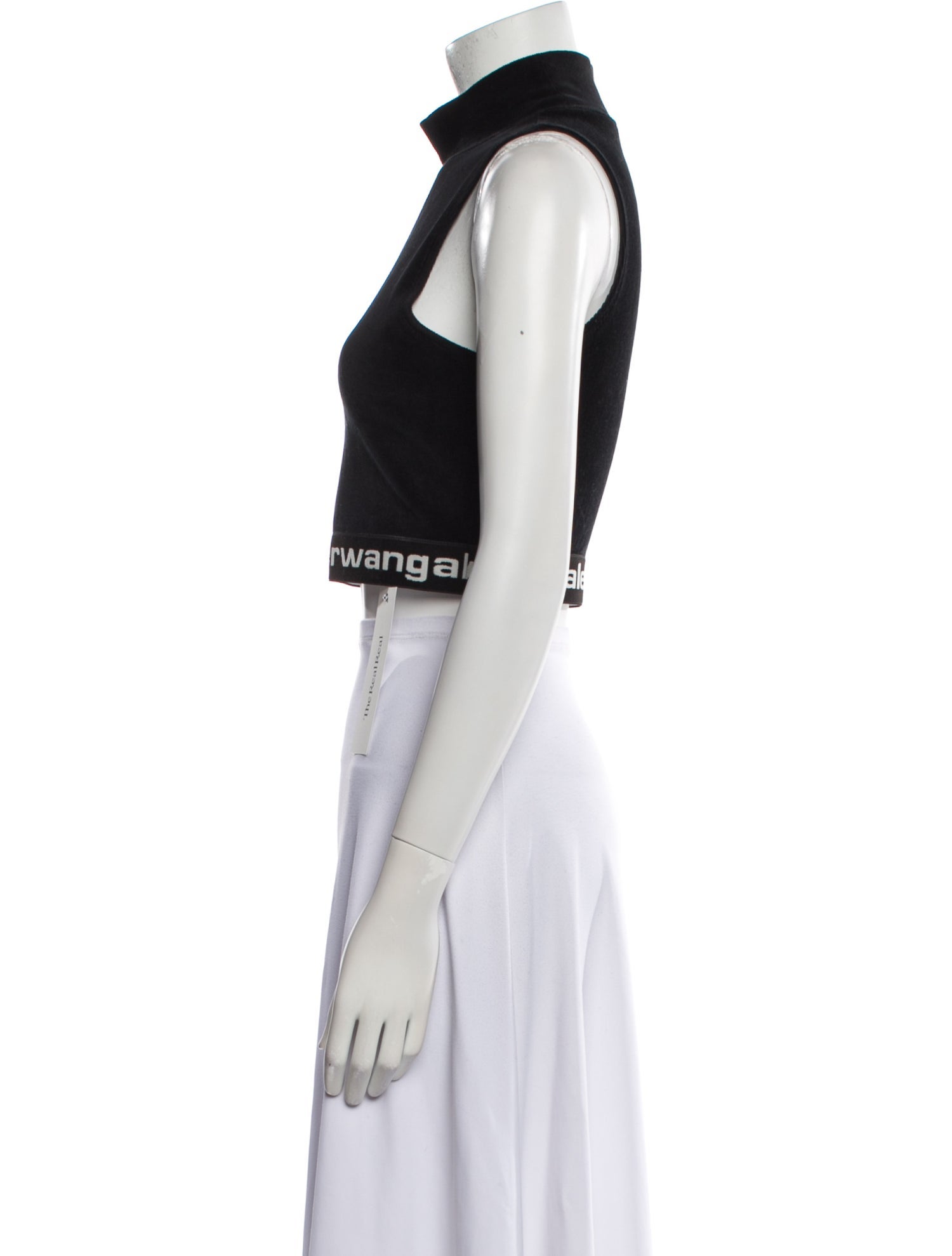 Alexander Wang Mock Neck Sleeveless Crop Top