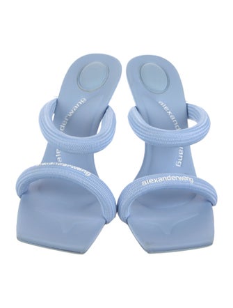 Alexander Wang Slides