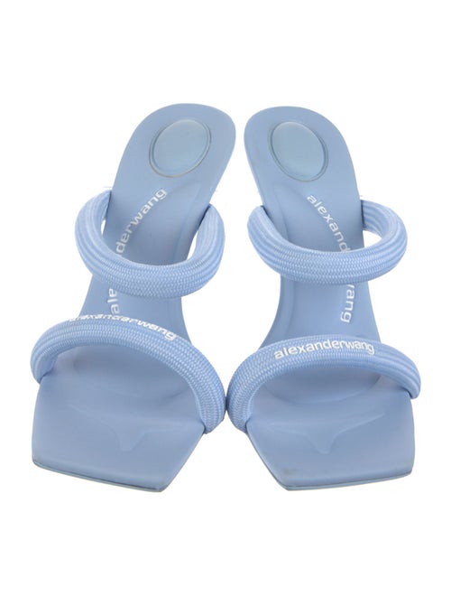 Alexander Wang Slides