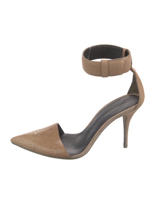 Alexander Wang Stingray D'Orsay Pumps
