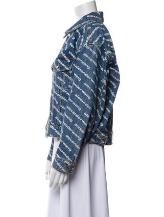 Alexander Wang Striped Denim Jacket