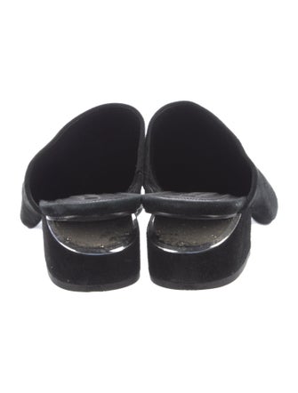 Alexander Wang Suede Mules