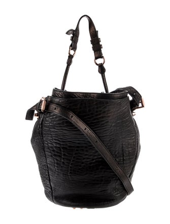 Alexander Wang Leather Bucket Bag