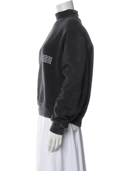 Alexander Wang Turtleneck Long Sleeve Sweatshirt