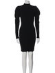 Alexander Wang Turtleneck Mini Dress
