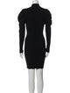 Alexander Wang Turtleneck Mini Dress