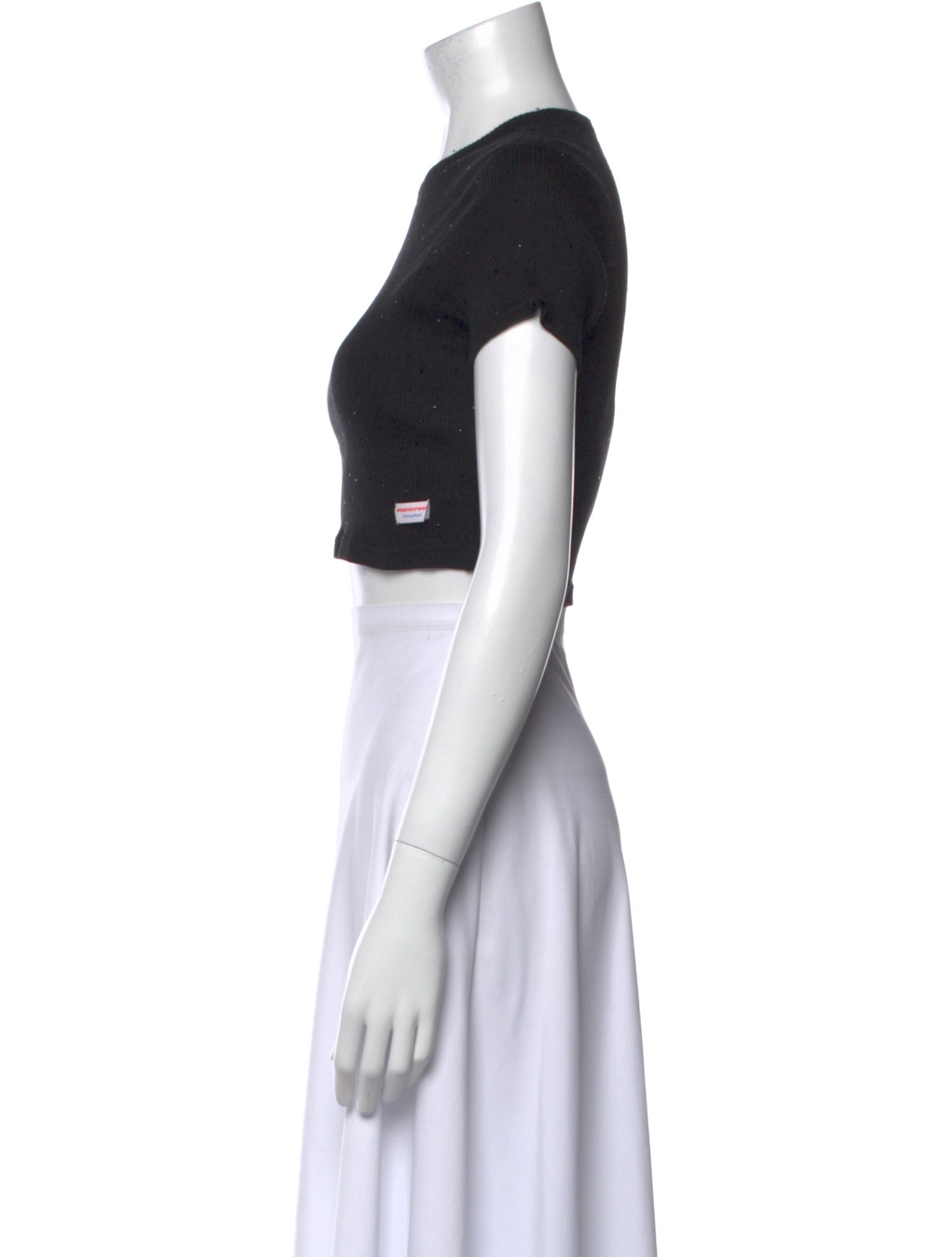 Alexander Wang Crew Neck Short Sleeve Crop Top