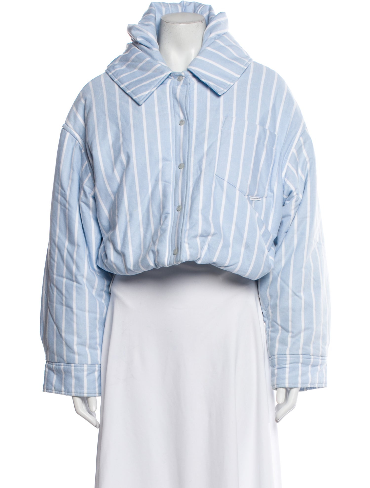 Alexander Wang Striped Jacket