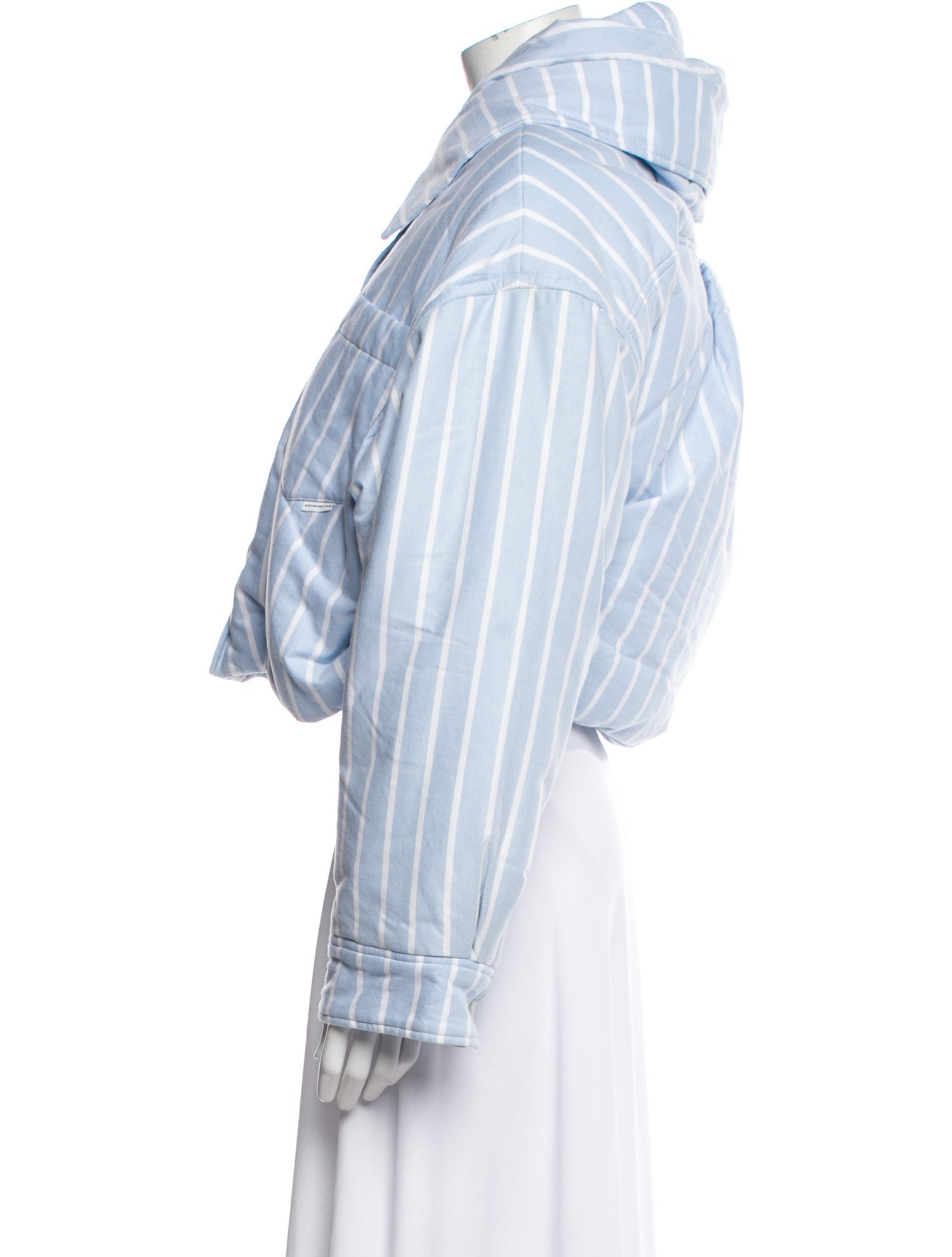 Alexander Wang Striped Jacket