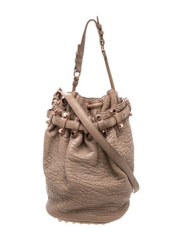 Pre-owned Alexander Wang Leather Bucket Bag In Brown