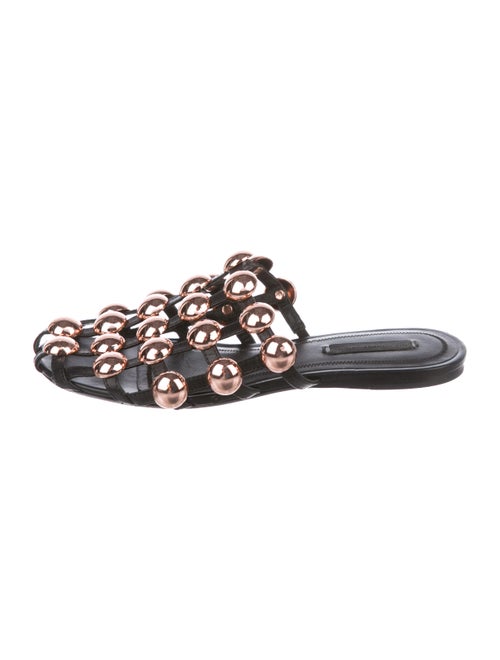 Alexander Wang Amelia Caged Mules Black