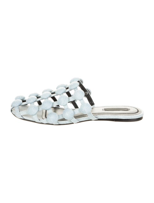 Alexander Wang Mules Blue