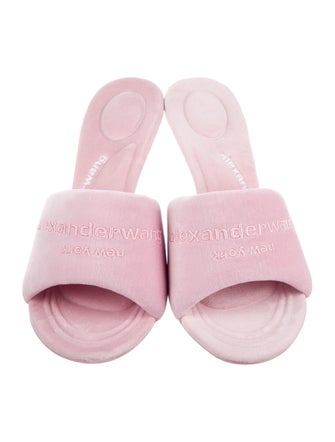 Alexander Wang Slides