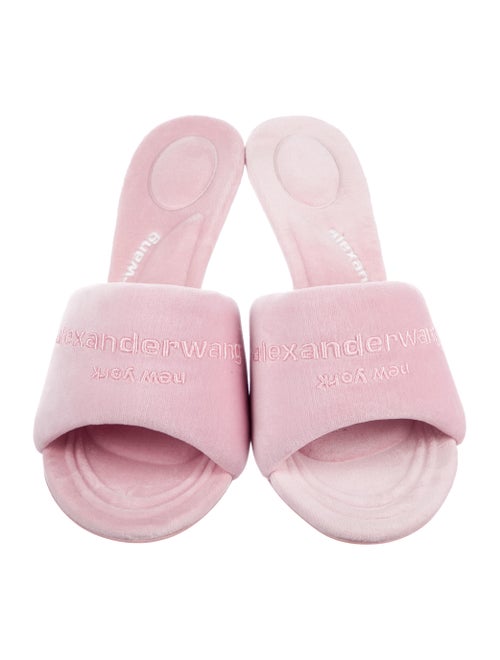 Alexander Wang Slides