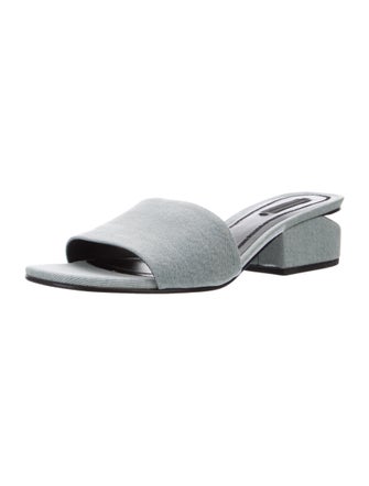 Alexander Wang Slides