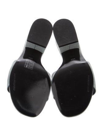 Alexander Wang Slides