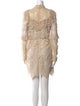 Anna Sui Lace Pattern Mini Dress