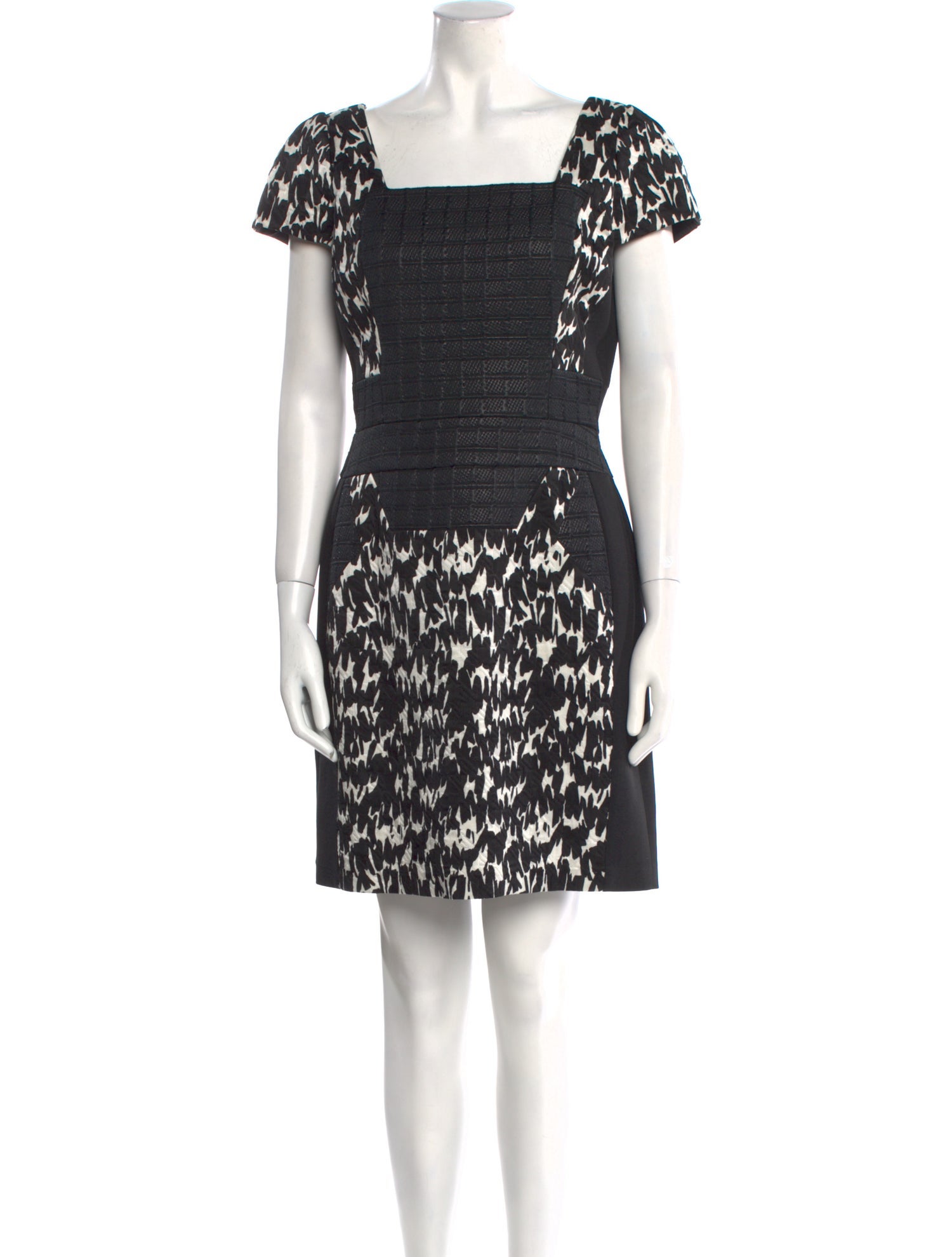 Antonio Berardi Printed Mini Dress