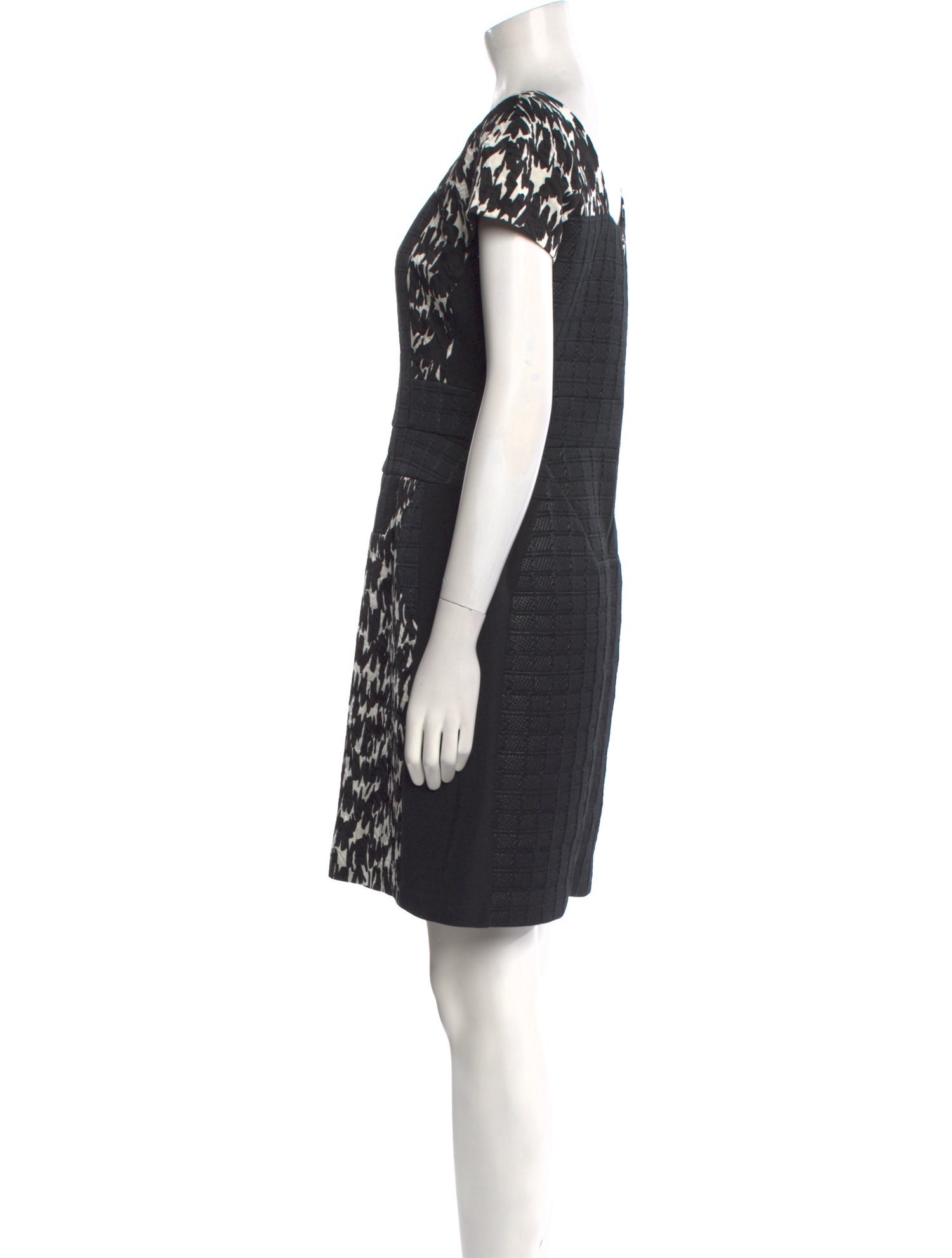 Antonio Berardi Printed Mini Dress