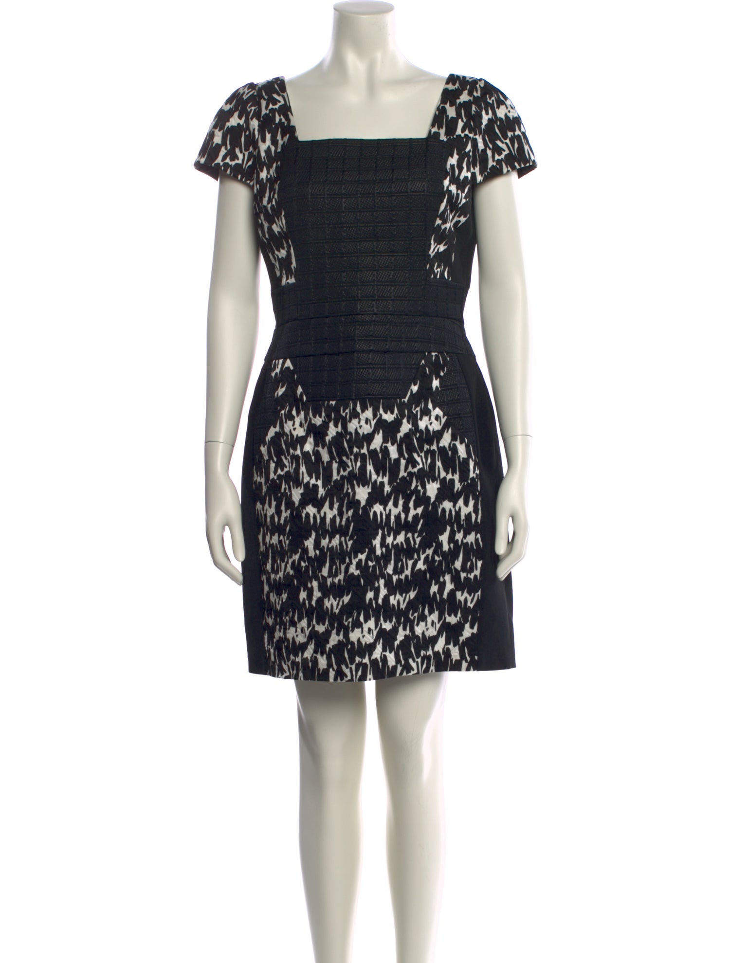 Antonio Berardi Printed Mini Dress