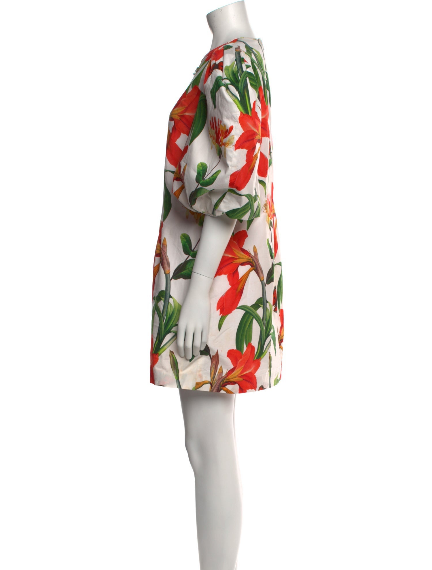 Andrew Gn Floral Print Mini Dress