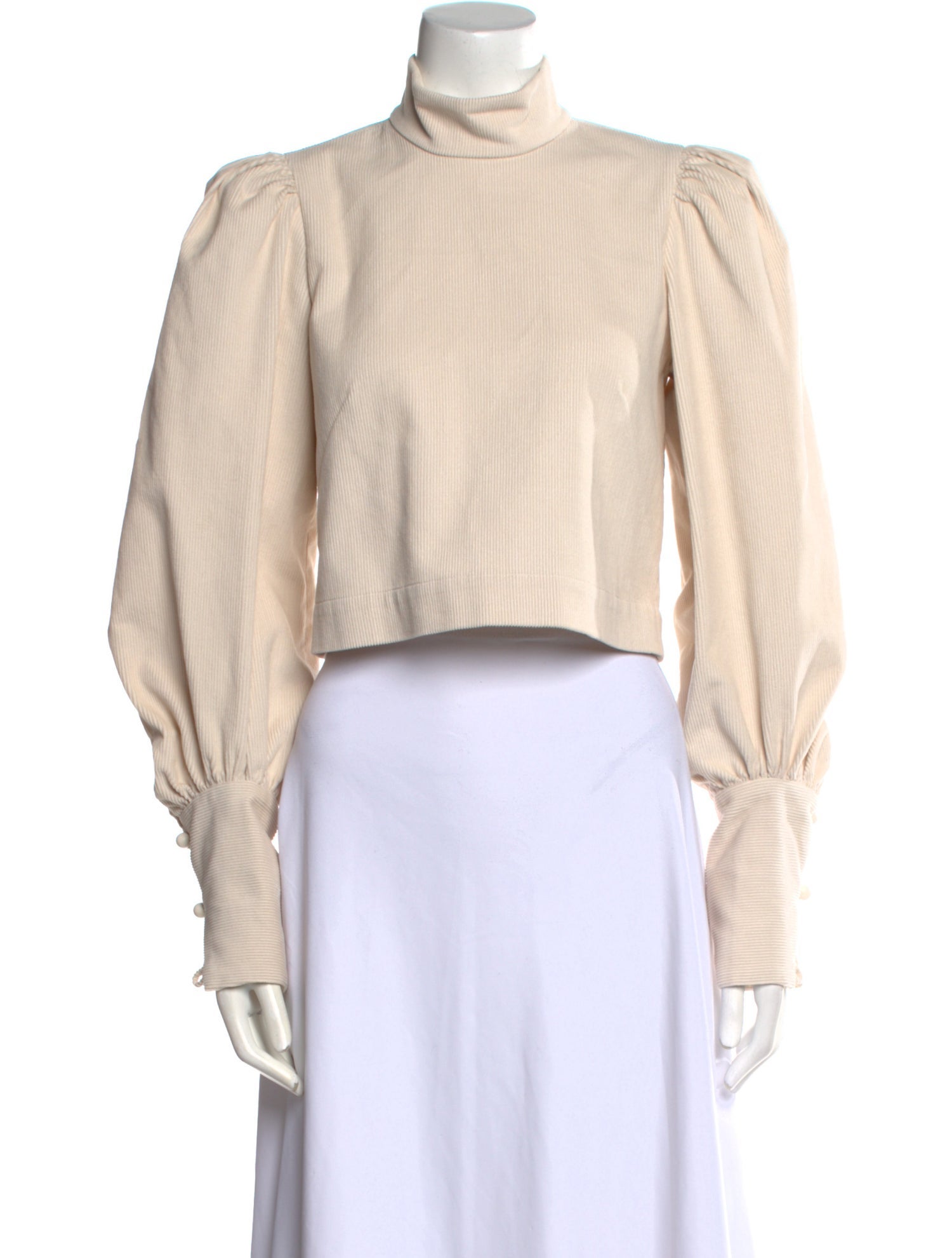 Anna Mason Turtleneck Long Sleeve Crop Top