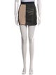 Anna Mason Leather Mini Skirt