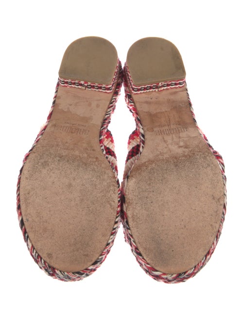 ANTOLINA Printed Slides