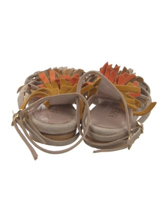 Aperlai Suede Fringe Trim Accent Gladiator Sandals