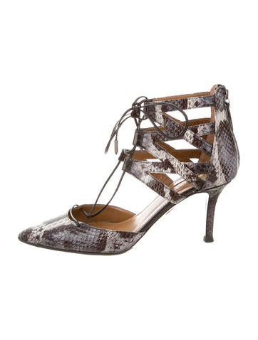 Aquazzura Python Belgravia Pumps