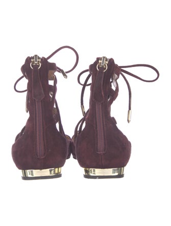 Aquazzura Suede Cutout Accent Ballet Flats