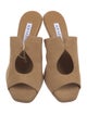 Aquazzura Suede Cutout Accent Slides