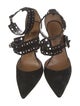 Aquazzura Suede Studded Accents D'Orsay Pumps