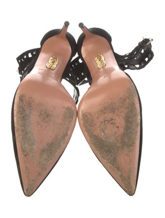 Aquazzura Suede Studded Accents D'Orsay Pumps