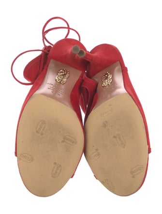 Aquazzura Suede Mules